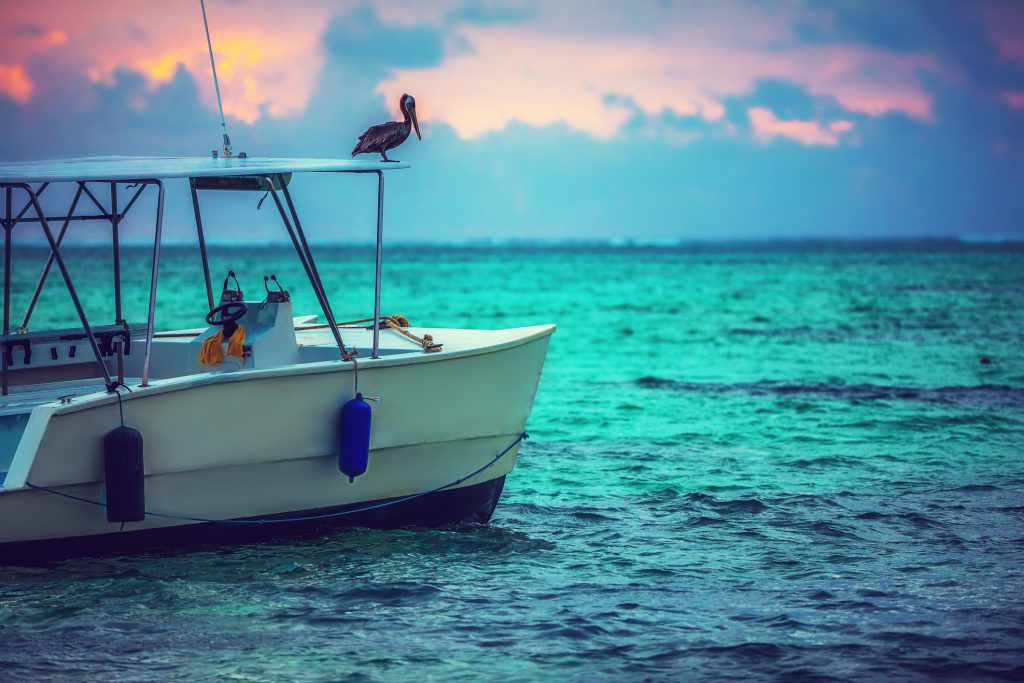 3 of Our Favorite Places to Fish at on Hilton Head Island