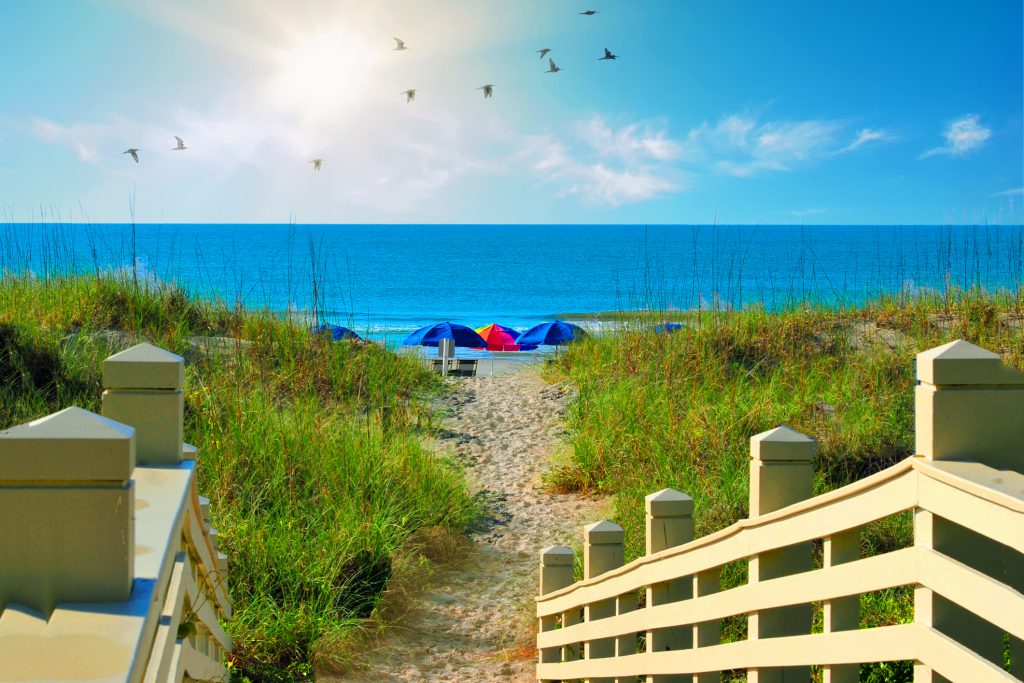 3 Things to Look Forward to Doing on Hilton Head Island this Spring
