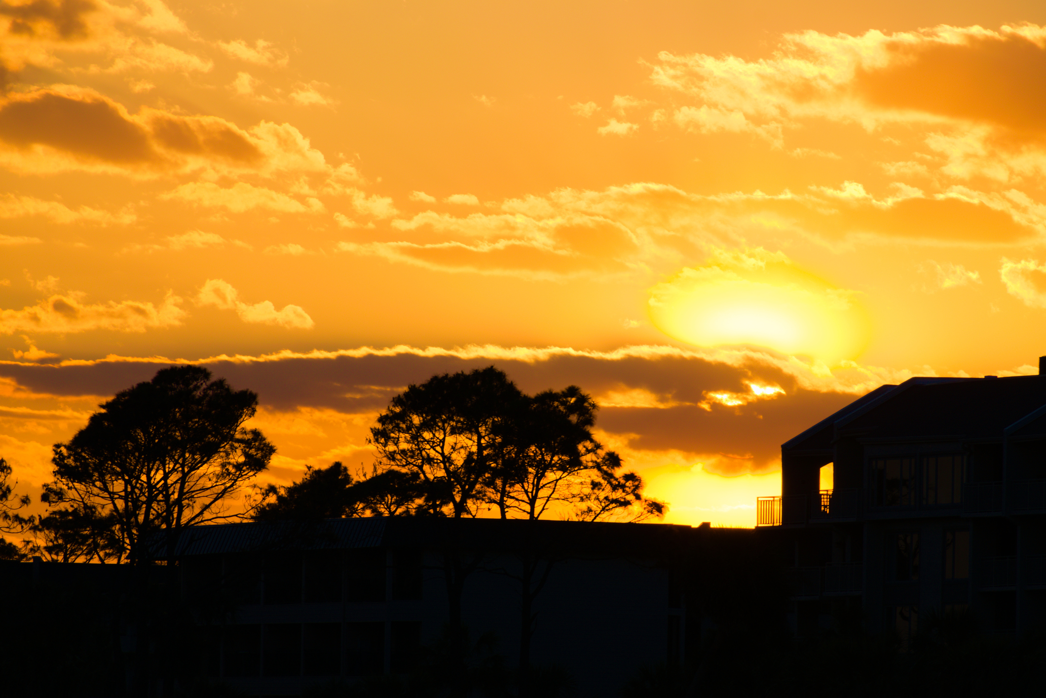 Landscape. Silhouette of trees and houses under beautiful sunset sky. Created in Hilton Head, SC. 03/21/2018